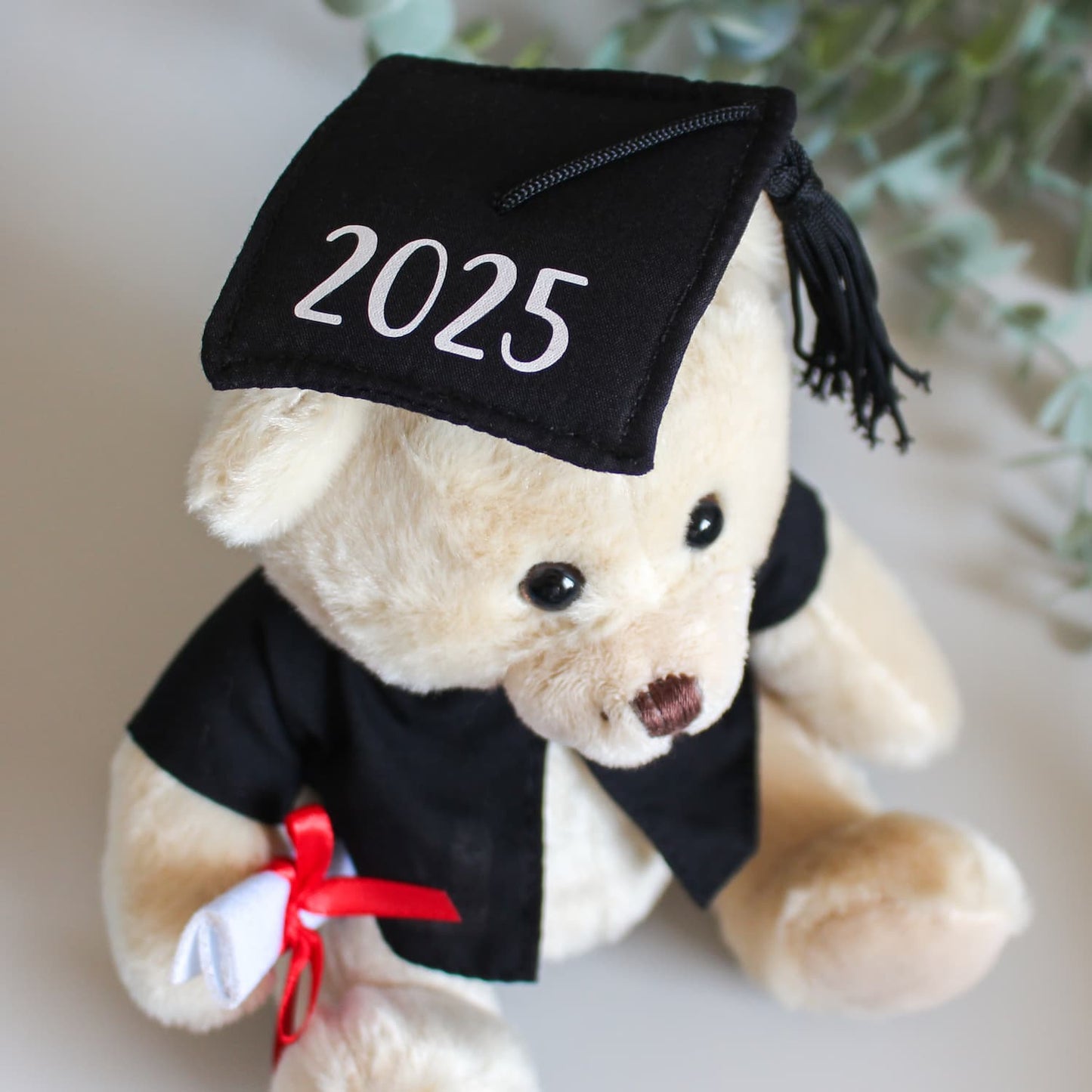 2025 graduation bear