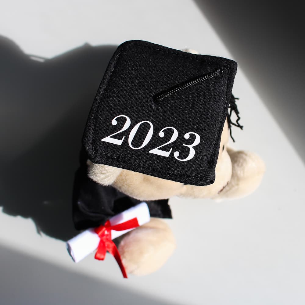 Customised best sale graduation bear