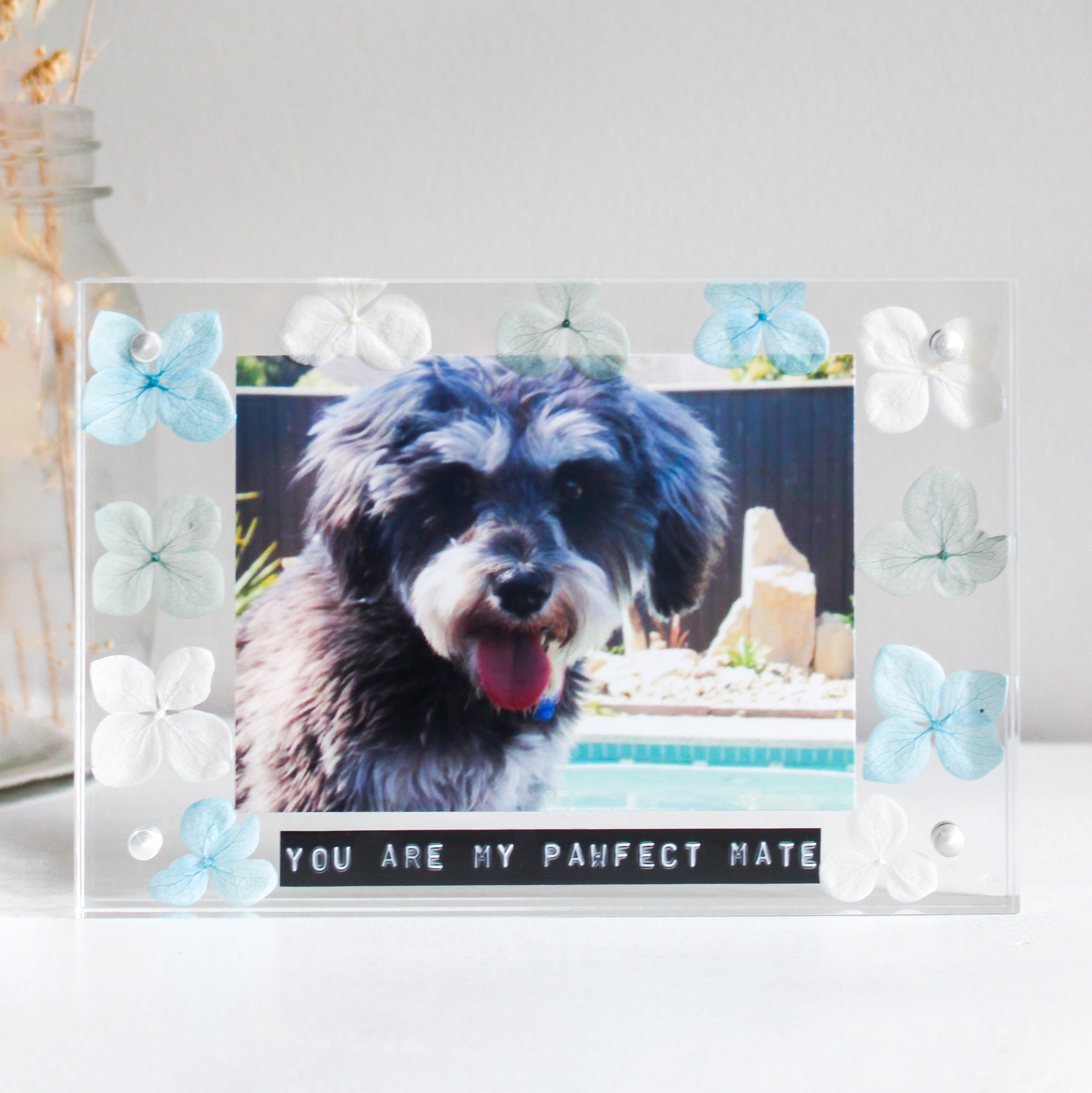 Dog photo shop frames online