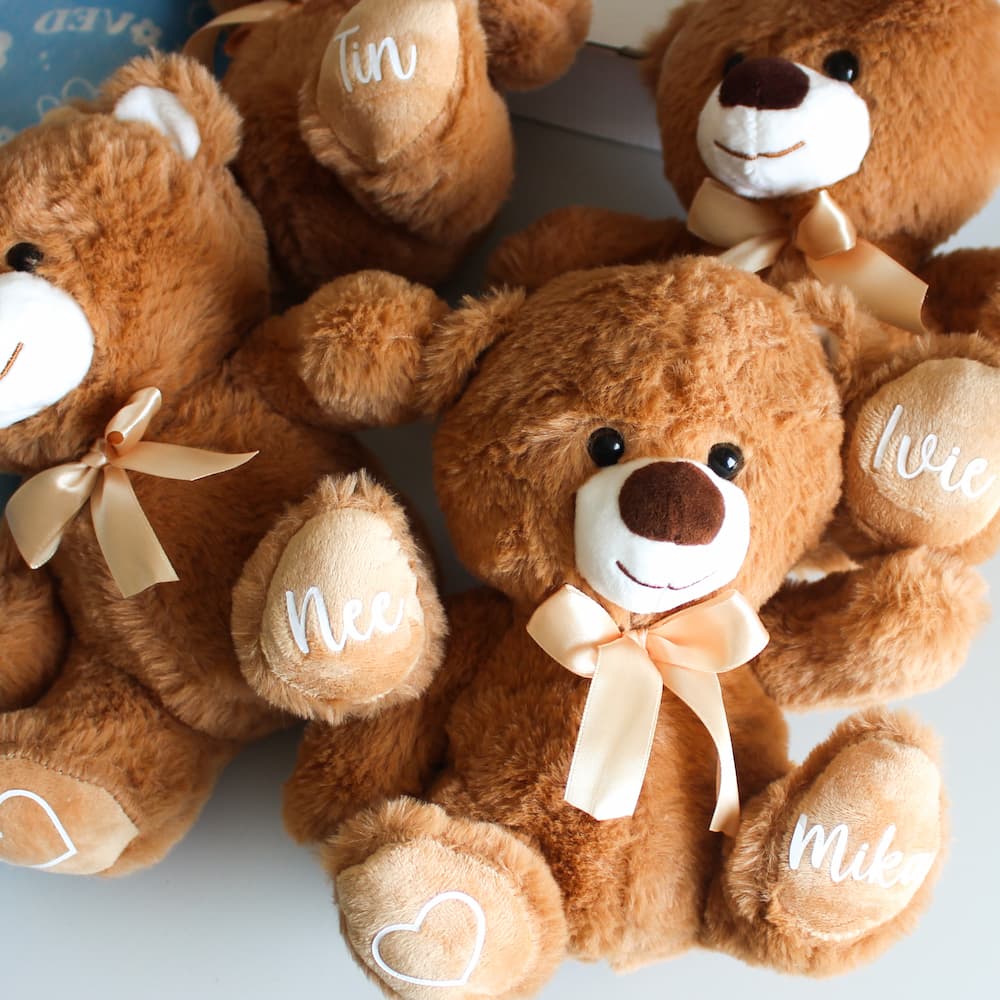 Brown Plush Teddy Bear 9